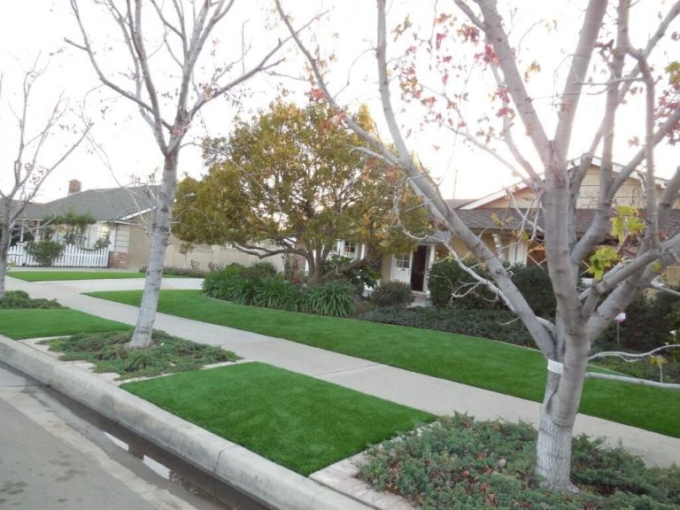 Artificial Turf for Reno, NV Homes Nevada Artificial Grass