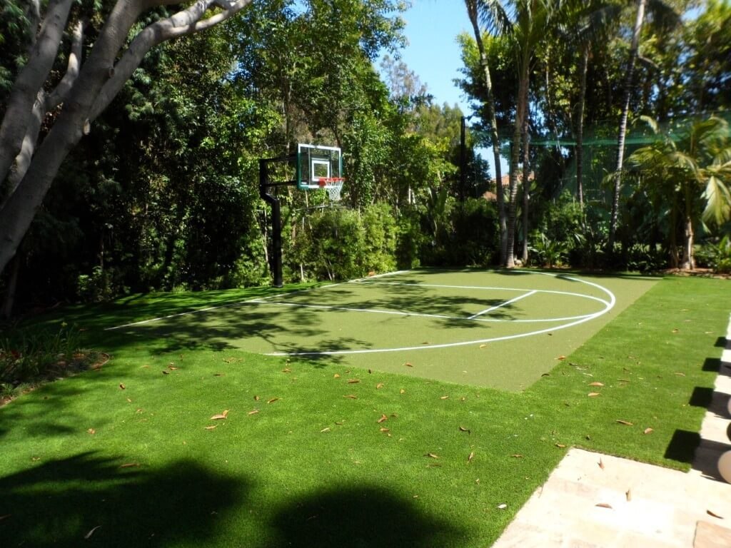 Basketball hoop with artificial grass court