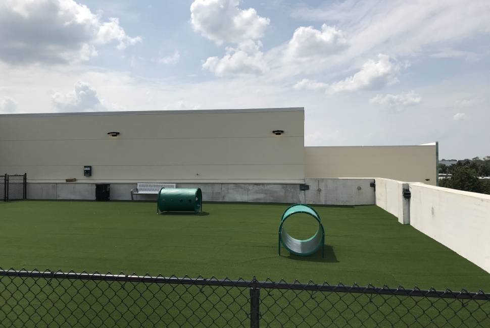 Commercial artificial grass for dog parks