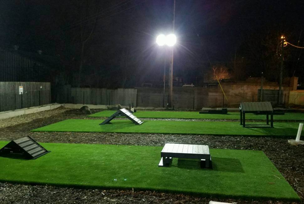 Artificial Grass Dog Run