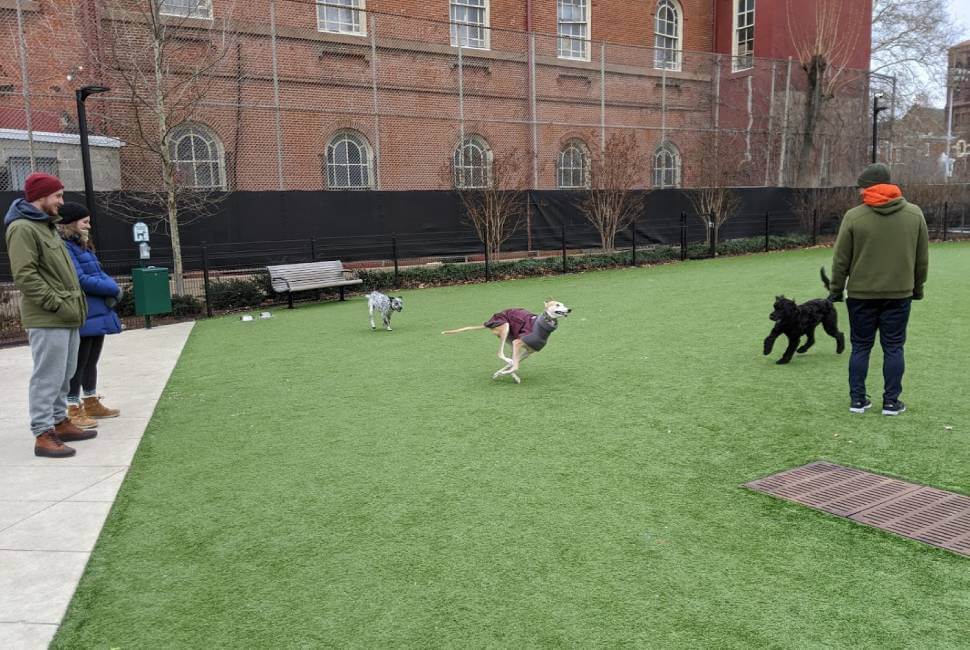 Artificial grass dog park inside fence