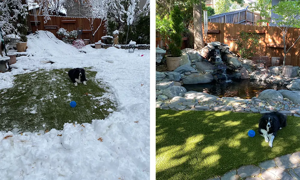 Artificial grass backyard after a snow storm and in the spring